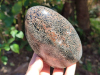 Polished Black Tourmaline In Matrix Standing Free Forms x 2 From Madagascar - Toprock Gemstones and Minerals