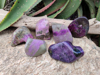 Polished Stichtite Free Forms x 6 From Barberton, South Africa - Toprock Gemstones and Minerals