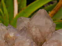 Natural Smokey Phantom Quartz Clusters x 2 From Luena, Congo - Toprock Gemstones and Minerals
