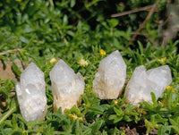 Natural Cascading Candle Quartz Clusters x 35 From Antsirabe, Madagascar - Toprock Gemstones and Minerals