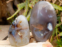 Polished Dendritic Agate Standing Free Forms x 6 From Moralambo, Madagascar