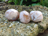 Polished Flower Agate Free Forms x 35 From Antsahalova, Madagascar