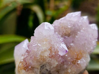 Natural Amethyst and Ametrine Spirit Clusters x 6 From Boekenhouthoek, South Africa