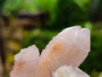 Natural Amethyst and Ametrine Spirit Clusters x 6 From Boekenhouthoek, South Africa