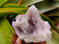 Natural Amethyst and Ametrine Spirit Clusters x 6 From Boekenhouthoek, South Africa