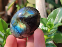 Polished Labradorite Galets x 20 From Tulear, Madagascar