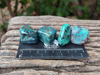 Polished Shattuckite Free Forms x 70 From Congo