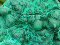 Natural Botryoidal Malachite Specimens x 2 From Congo