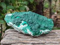 Natural Botryoidal Malachite Specimens x 2 From Kolwezi, Congo