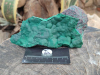 Natural Botryoidal Malachite Specimens x 2 From Kolwezi, Congo