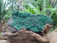Natural Botryoidal Malachite Specimens x 2 From Kolwezi, Congo