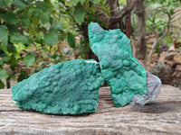 Natural Botryoidal Malachite Specimens x 2 From Kolwezi, Congo