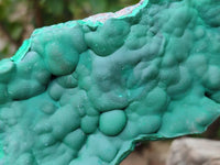 Natural Botryoidal Malachite Specimens x 2 From Kolwezi, Congo
