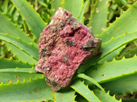 Natural Salrose Cobaltion Dolomite With Malachite Specimens x 12 From Kakanda, Congo