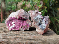 Natural Salrose Cobaltion Dolomite With Malachite Specimens x 12 From Kakanda, Congo