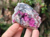 Natural Salrose Cobaltion Dolomite With Malachite Specimens x 12 From Kakanda, Congo