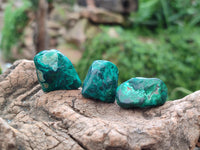 Polished Dioptase Free Forms x 20 From Likasi, Congo