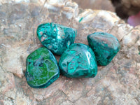 Polished Dioptase Free Forms x 20 From Likasi, Congo