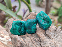 Polished Dioptase Free Forms x 20 From Likasi, Congo