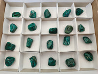 Polished Dioptase Free Forms x 20 From Likasi, Congo