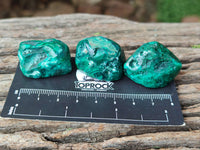 Polished Dioptase Free Forms x 20 From Likasi, Congo