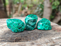 Polished Dioptase Free Forms x 20 From Likasi, Congo