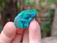 Polished Dioptase Free Forms x 20 From Likasi, Congo