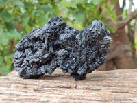 Natural Schorl Black Tourmaline with Vermiculite x 2 From Erongo, Namibia