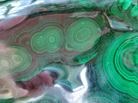 Polished Flower Banded Malachite Free Form x 1 From Congo