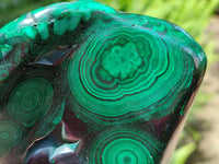 Polished Flower Banded Malachite Free Form x 1 From Congo