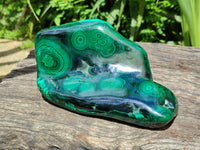 Polished Flower Banded Malachite Free Form x 1 From Congo