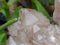 Natural Smokey Phantom Quartz Clusters x 3 From Luena, Congo