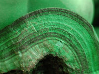 Natural XL Botryoidal Malachite Specimen x 1 From Congo