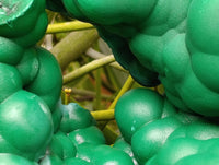 Natural XL Botryoidal Malachite Specimen x 1 From Congo