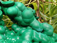 Natural XL Botryoidal Malachite Specimen x 1 From Congo