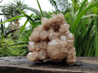 Natural XL Luena Cascading Smokey Phantom Quartz Cluster x 1 From Congo