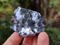 Natural Bright Silver Lead Galena Cobbed Specimens x 12 From Kaokoveld, Namibia