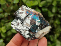 Natural Bright Silver Lead Galena Cobbed Specimens x 12 From Kaokoveld, Namibia