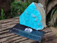 Natural Botroiydal Chrysocolla With Malachite Specimens x 12 From Kolwezi, Congo