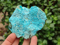 Natural Botroiydal Chrysocolla With Malachite Specimens x 12 From Kolwezi, Congo
