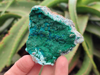 Natural Botroiydal Chrysocolla With Malachite Specimens x 12 From Kolwezi, Congo
