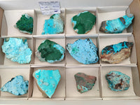 Natural Botroiydal Chrysocolla With Malachite Specimens x 12 From Kolwezi, Congo