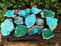 Natural Botroiydal Chrysocolla With Malachite Specimens x 12 From Kolwezi, Congo