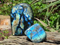 Polished Labradorite Standing Free Forms x 2 From Tulear, Madagascar