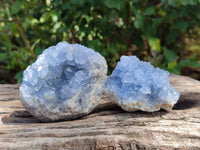 Natural Blue Celestite Specimens x 6 From Sakoany, Madagascar