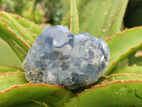 Natural Blue Celestite Specimens x 6 From Sakoany, Madagascar
