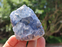 Natural Blue Celestite Specimens x 6 From Sakoany, Madagascar