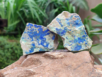 Natural Azurite And Malachite On Dolomite Specimens x 12 From Kaokoveld, Namibia