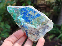 Natural Azurite And Malachite On Dolomite Specimens x 12 From Kaokoveld, Namibia