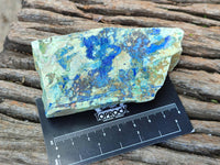 Natural Azurite And Malachite On Dolomite Specimens x 12 From Kaokoveld, Namibia